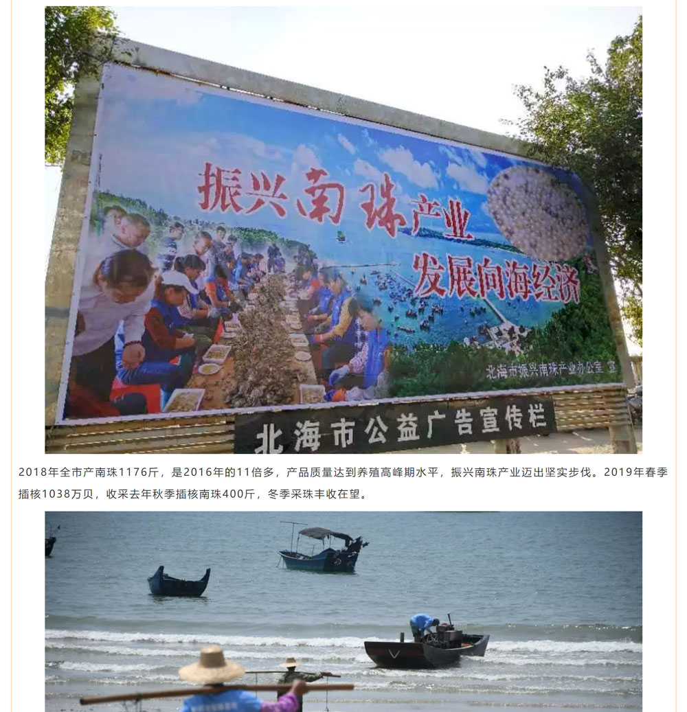 古老南珠，綻放異彩